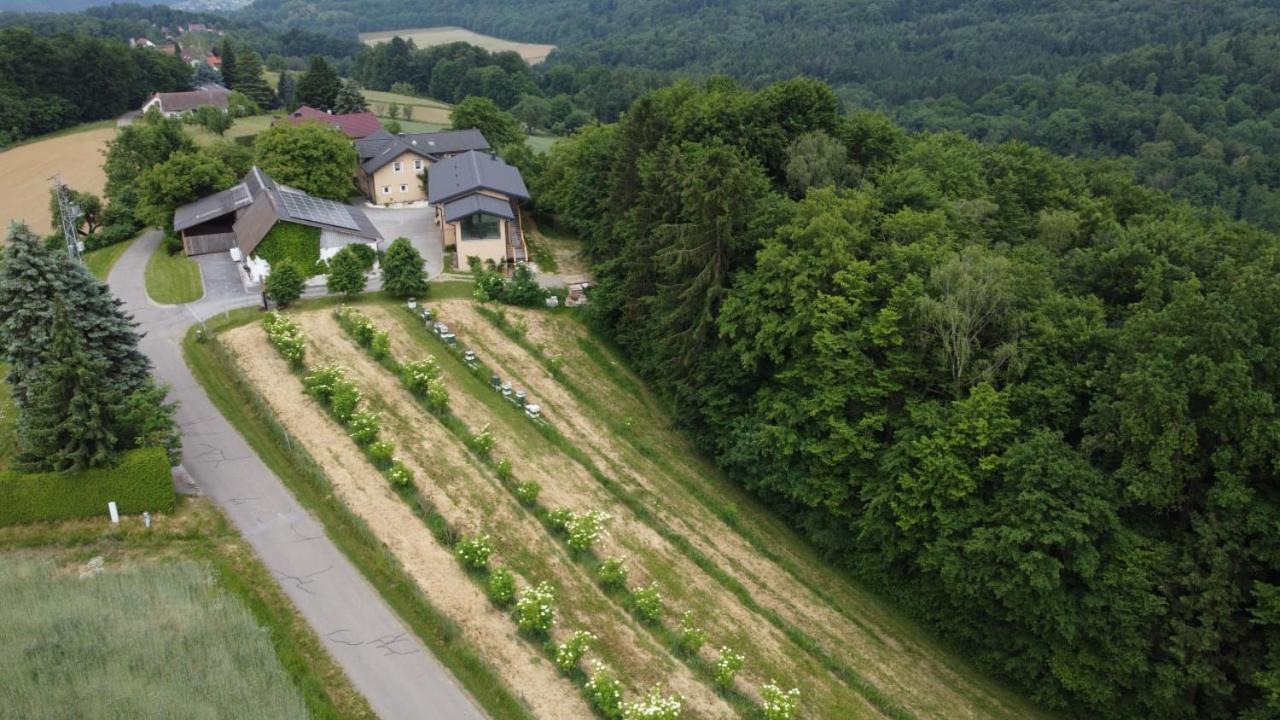 Beim Bergjosl Lägenhet Kirchbach in Steiermark Exteriör bild