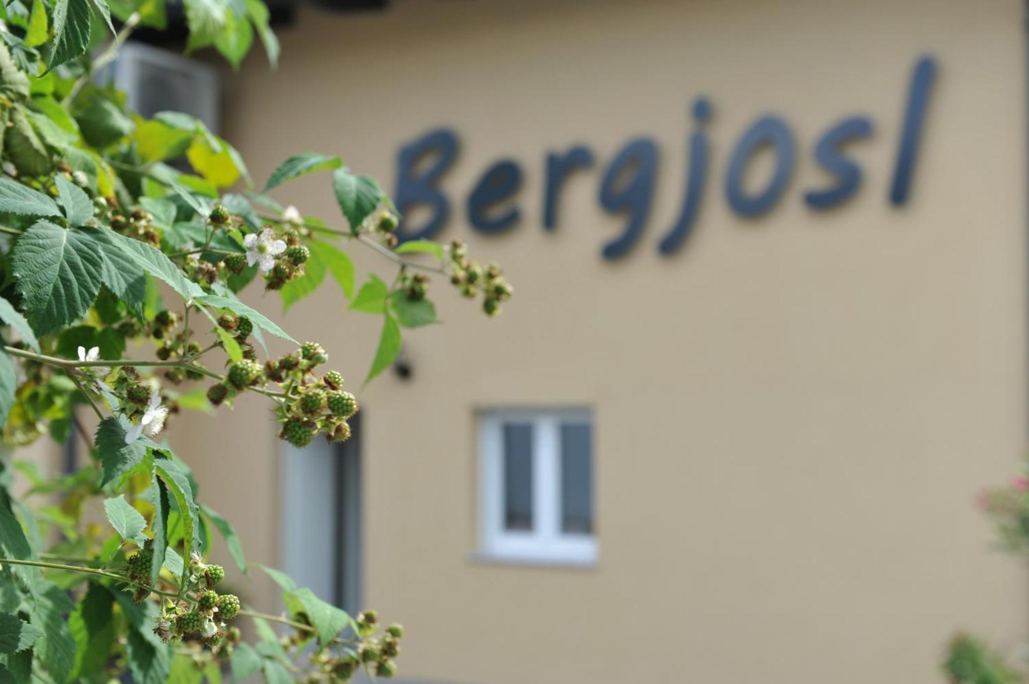 Beim Bergjosl Lägenhet Kirchbach in Steiermark Exteriör bild